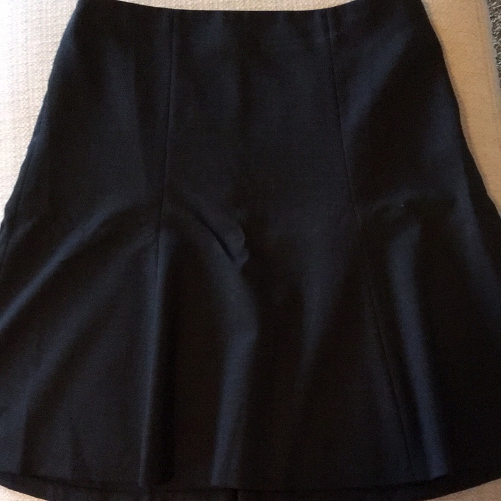 Ann Taylor skirt